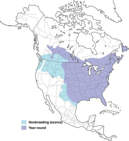 blue jay range map