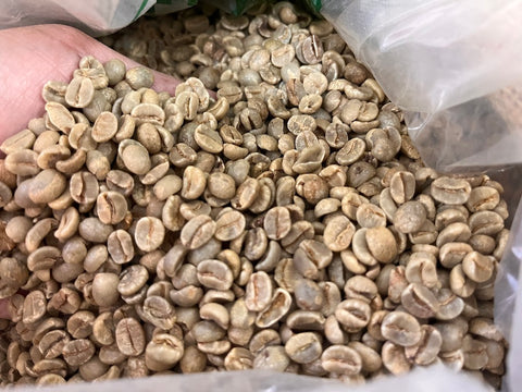 Australia green coffee beans