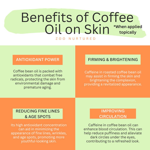 Coffee Bean Oil