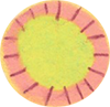 Doodad circle flower