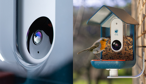 Bird Buddy: A Smart Bird Feeder