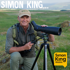 SIMON KING WILDLIFE