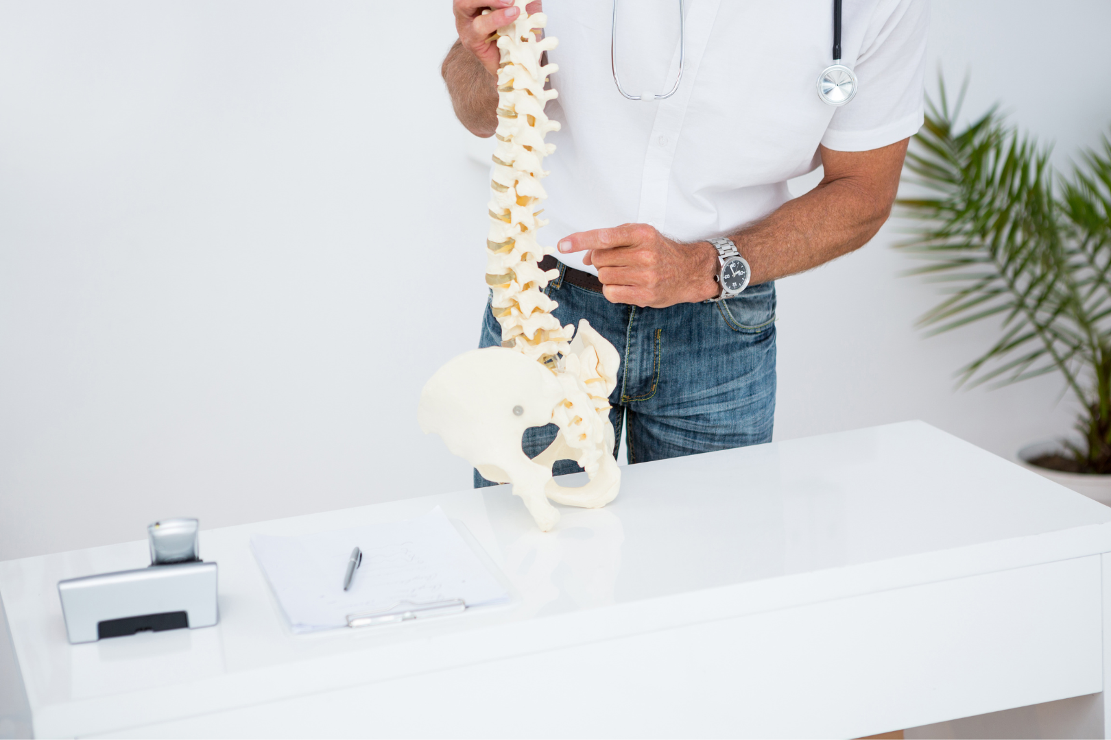 Doctor pointing at a spine in a doctor's office