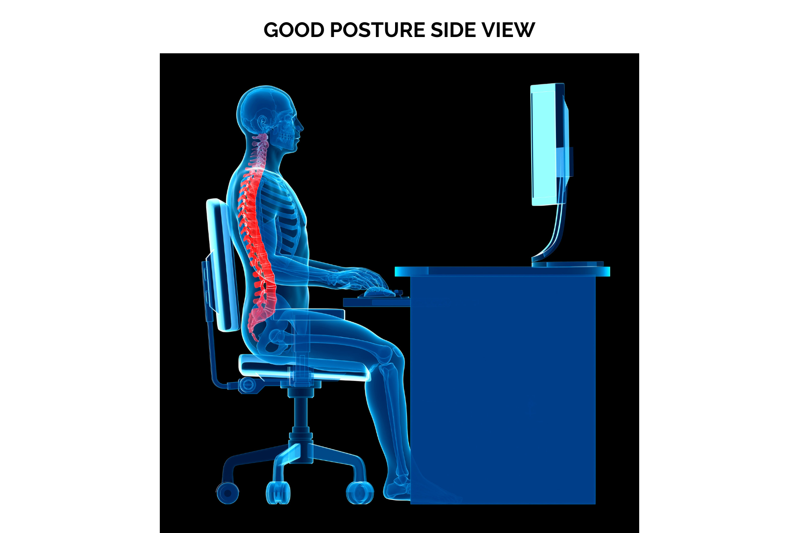 Good Posture Side View (with title)