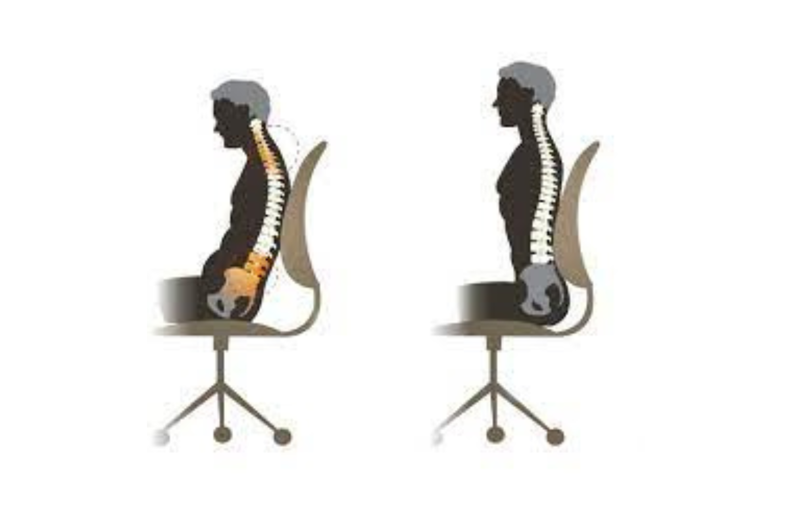 A graphic that illustrates the spine when sitting.