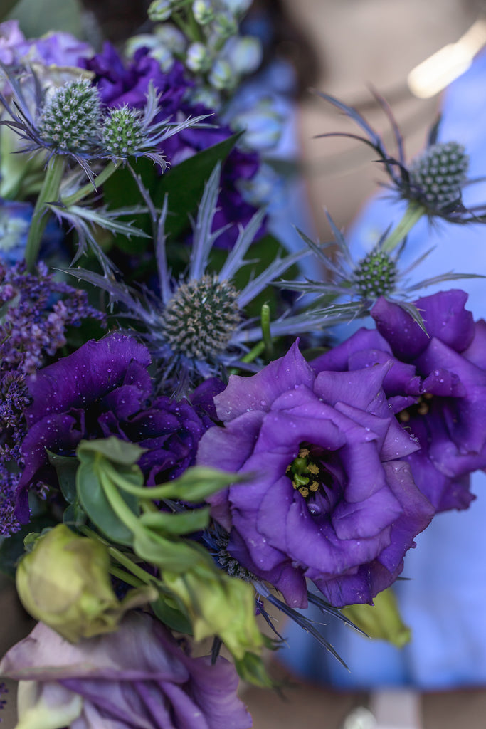 Ramo Azul Violeta – silvestradeflores