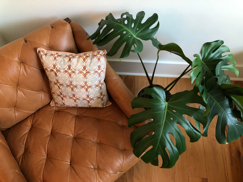 Leather chair with patterned pillow and green plant