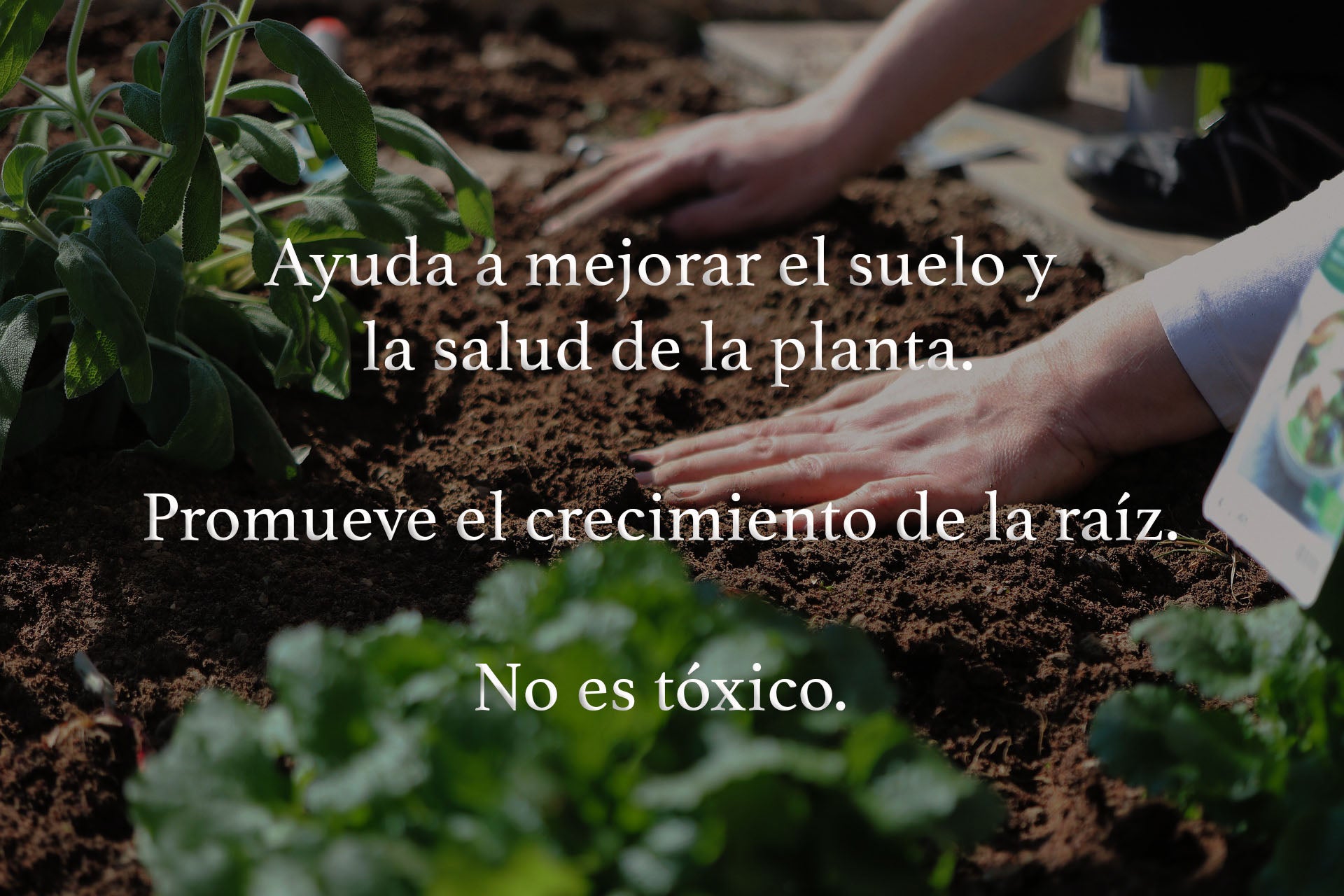 Ayuda a mejorar el suelo y la salud de la planta. Promueve el crecimiento de la raíz. No es tóxico