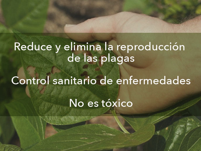 Reduce y elemina la reproducción de las plagas control sanitario de enfermedades. No es tóxico.