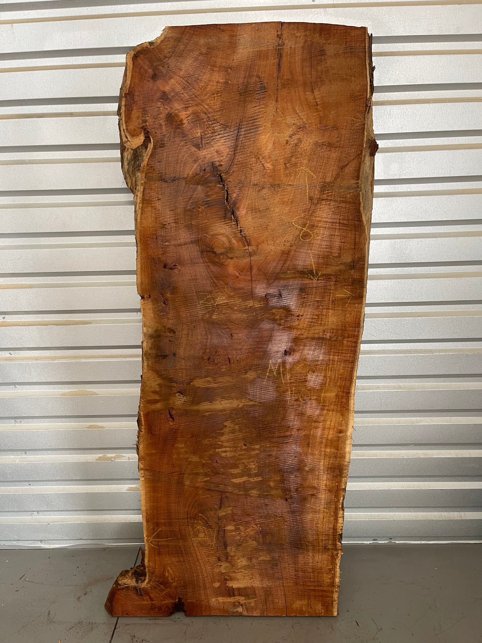 Maple Wood Slabs, Live Edge