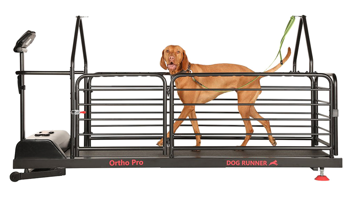 Dog Runner Ortho Pro_1200x700.jpg__PID:523d4a66-610b-4564-87f5-843138e92ed8