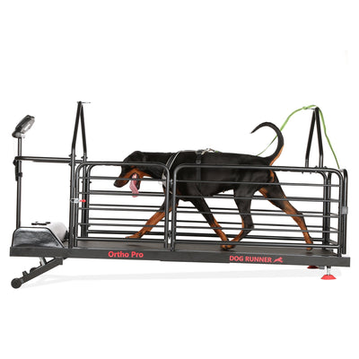 CanineKart 4 Feet Manual Dog Treadmill XLR8