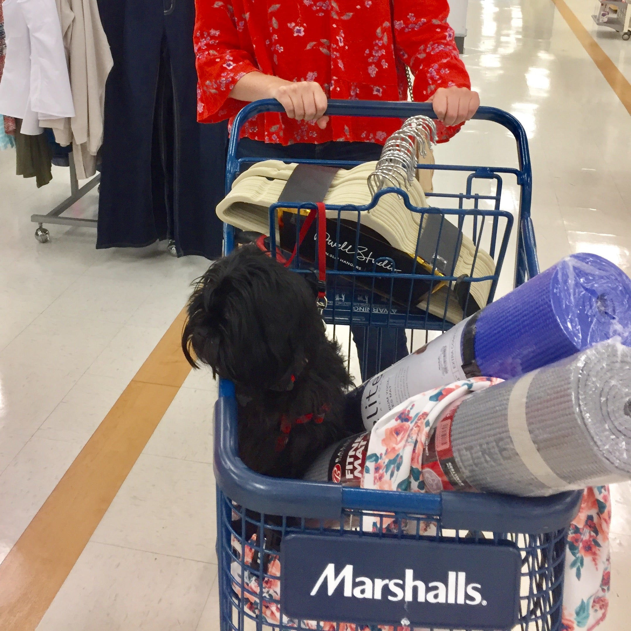 are dogs allowed at marshalls