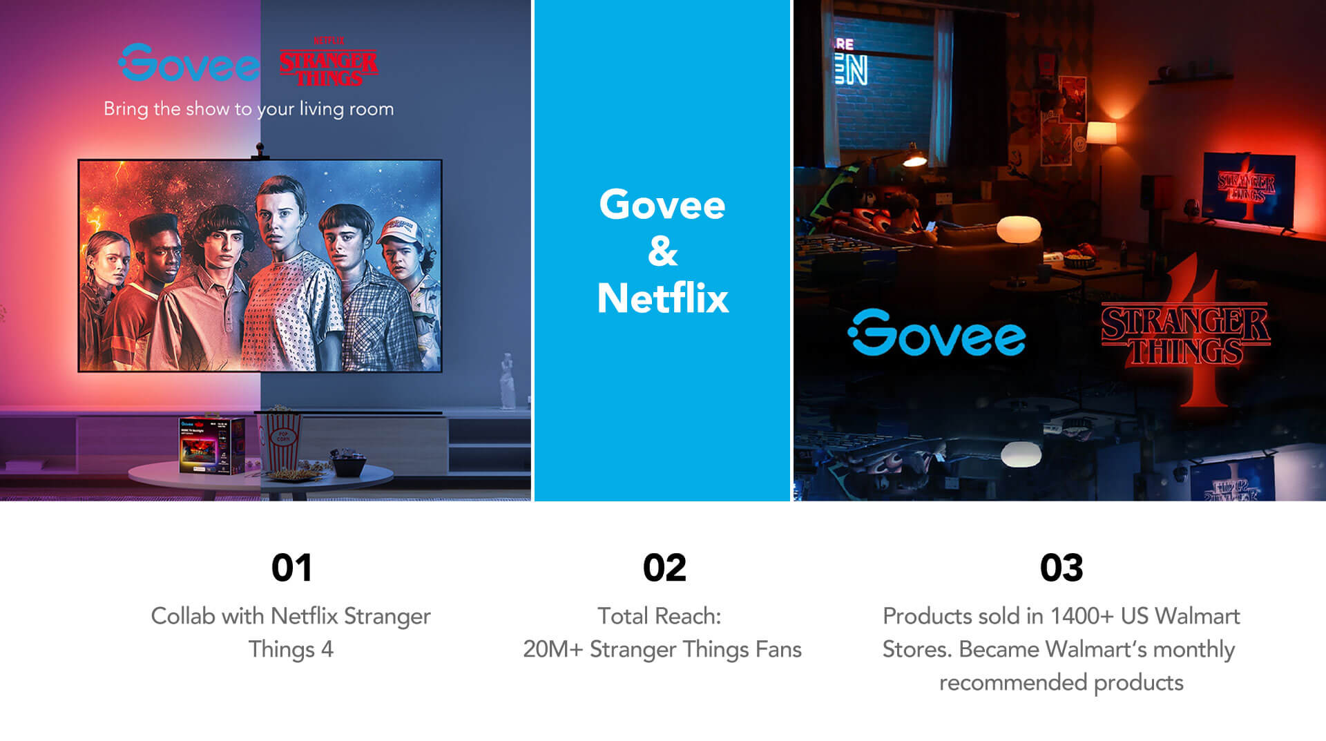 Govee & Netflix