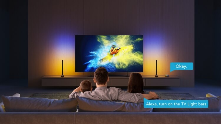 Govee Immersion Luces Led Rgbic Cámara Tv Ambilight Alexa Go