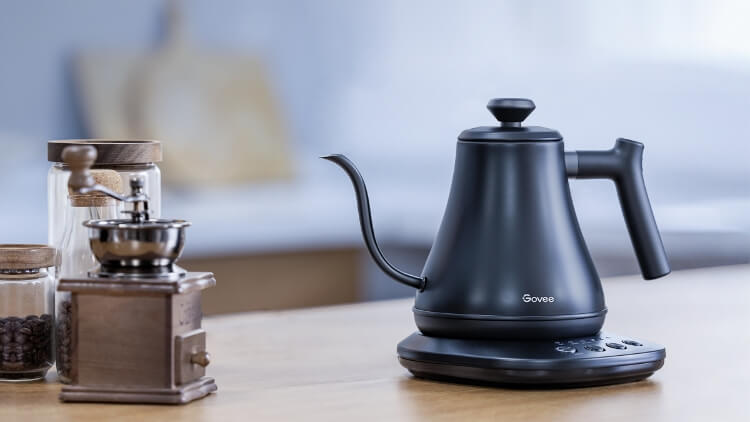 Should You Buy? Ninja vs Govee Life Electric Kettle 