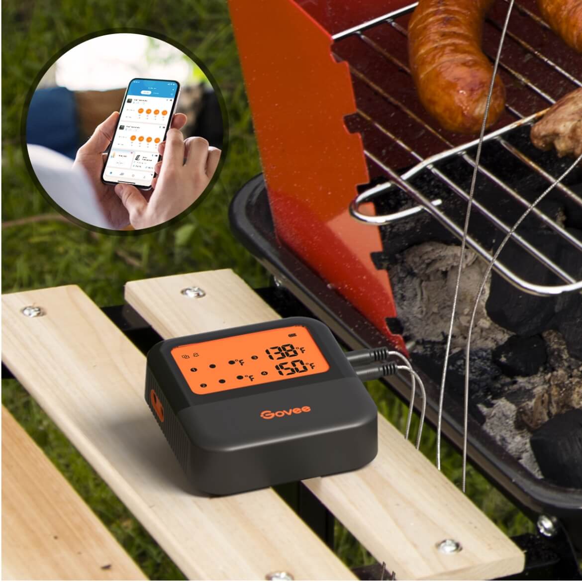 Termómetro de carne para asar Wi-Fi Govee con 4 sondas
