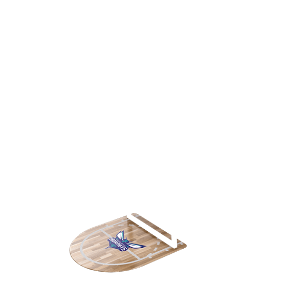 Charlotte Hornets Mat