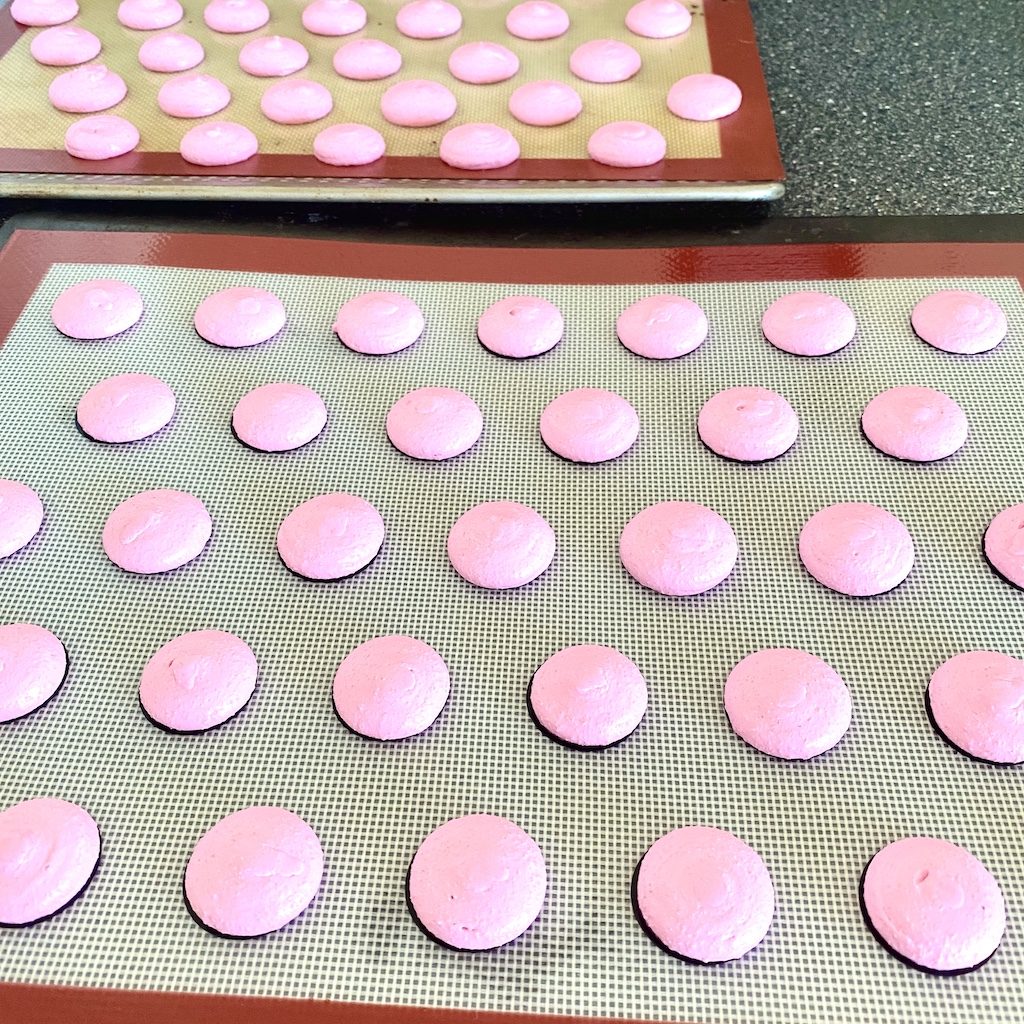 Baking macarons with Bakels Macaron mix cakers paradise