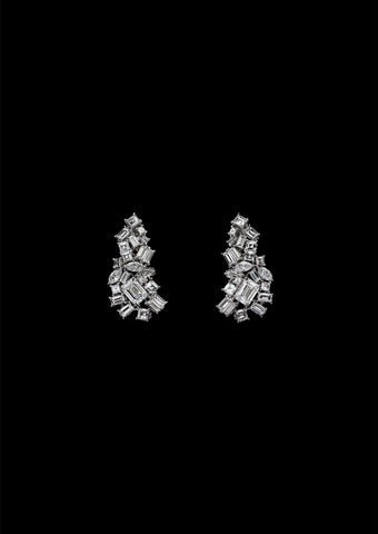 Dior Print Collection Earrings 93213