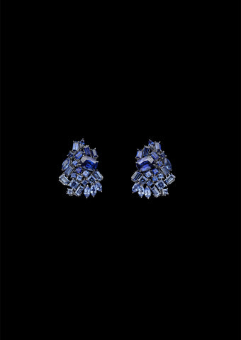 Dior Print Collection Earrings 93216