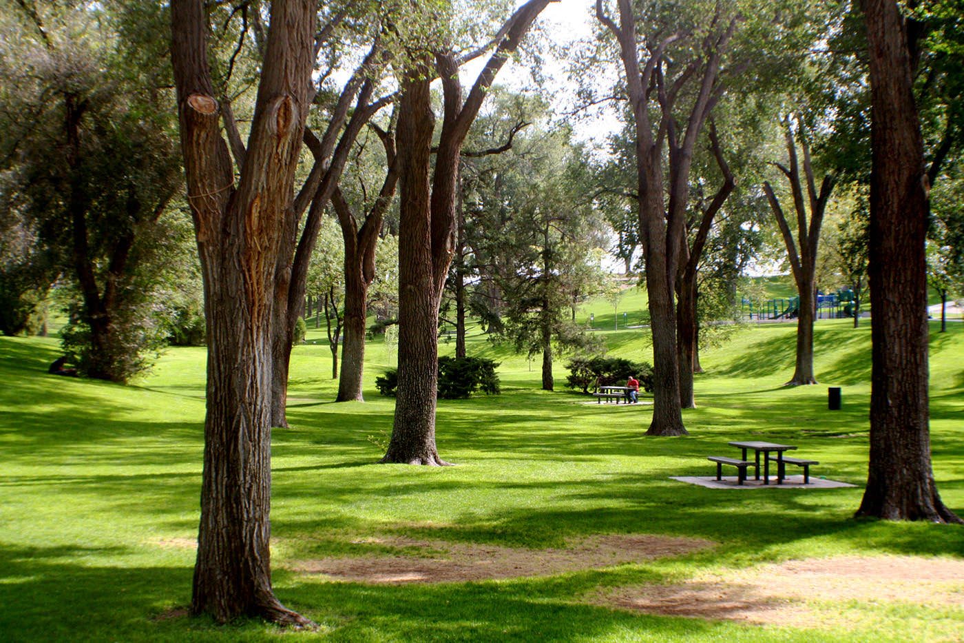 David T. Kennedy Dog Park