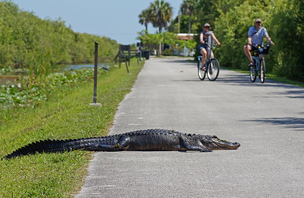 Everglades National Park