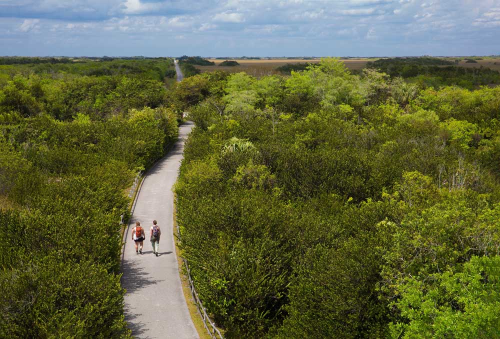 Enjoy Hiking in the Everglades