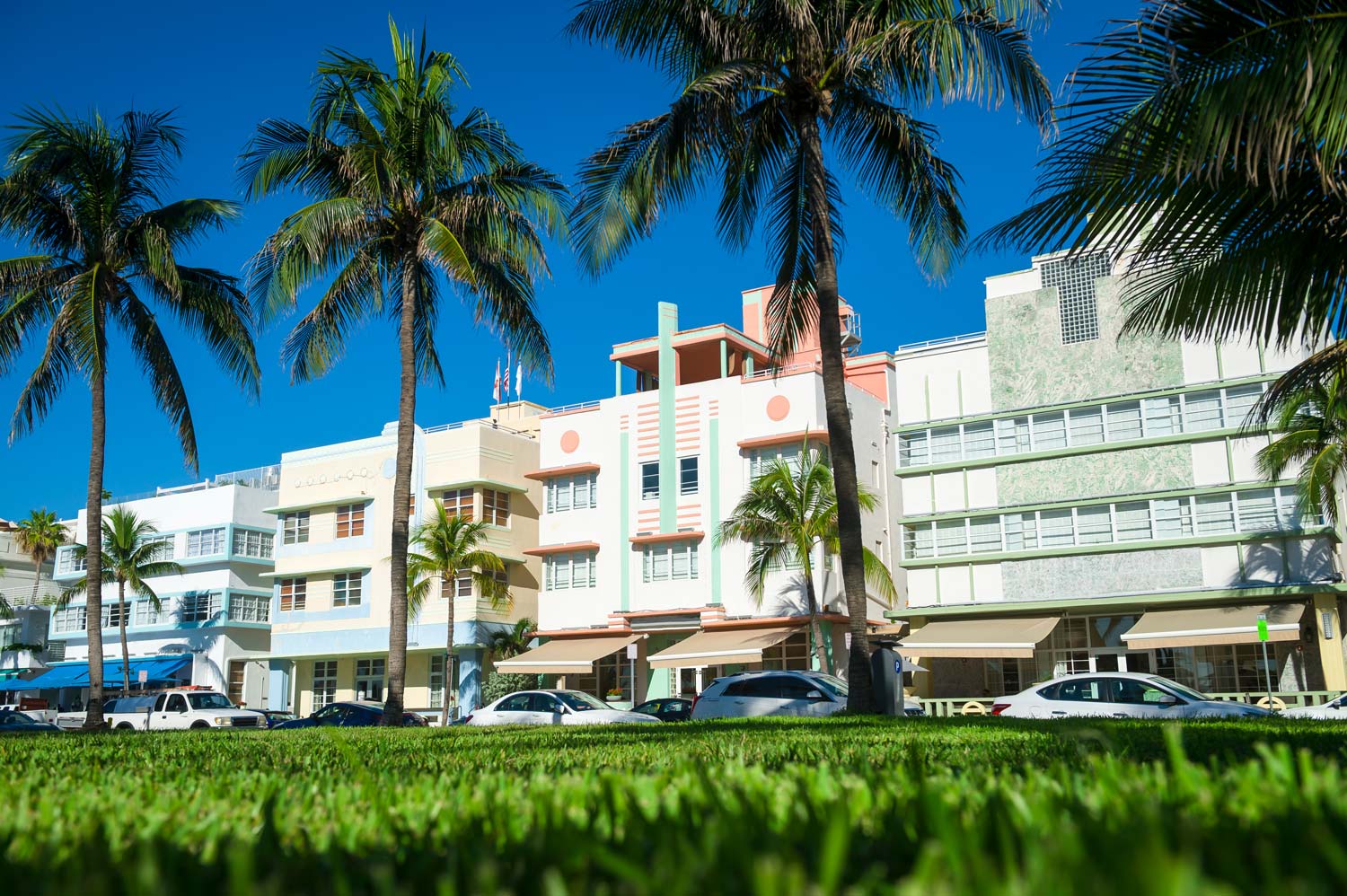 Image of Lummus Park, Ocean Drive and Art Deco buildings as a backdrop