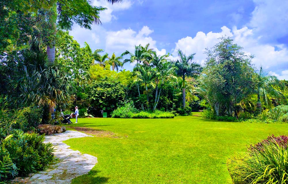 Miami Beach Botanical Garden: A Lush Oasis of Tranquility