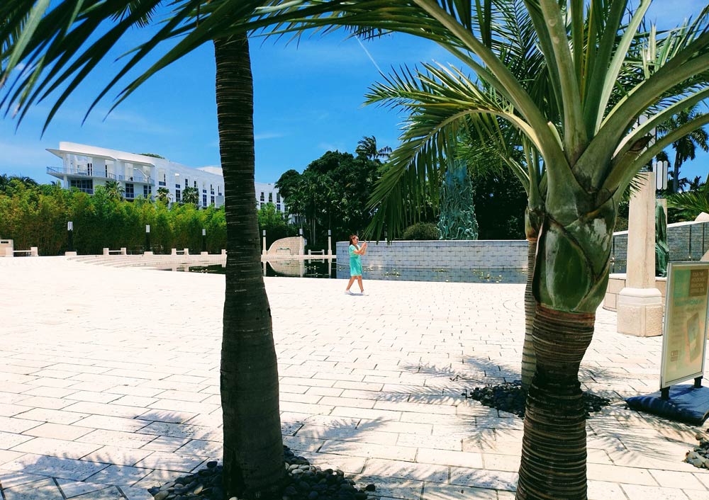 Palm trees at the entrance to the Memorial Holocaust