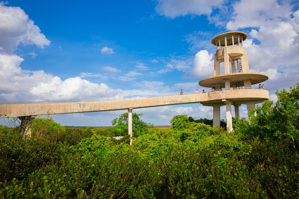 Shark Valley Visitor Center