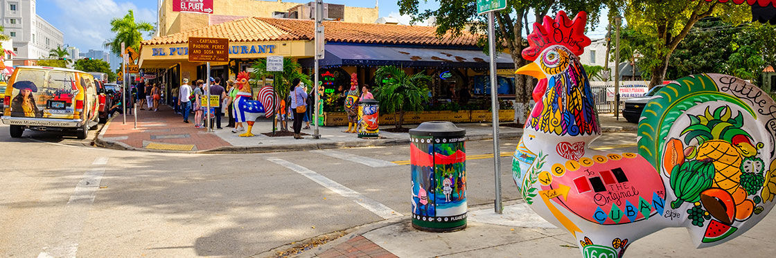 Roosters at Calle 8 - Little Havana