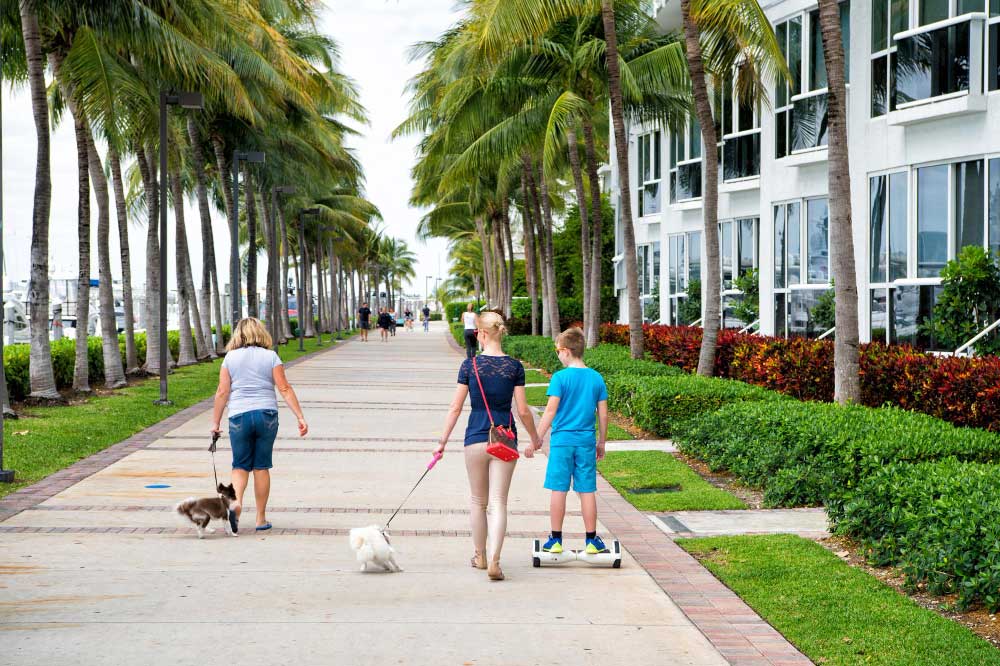 Pedestrian path with palm trees on South Beach