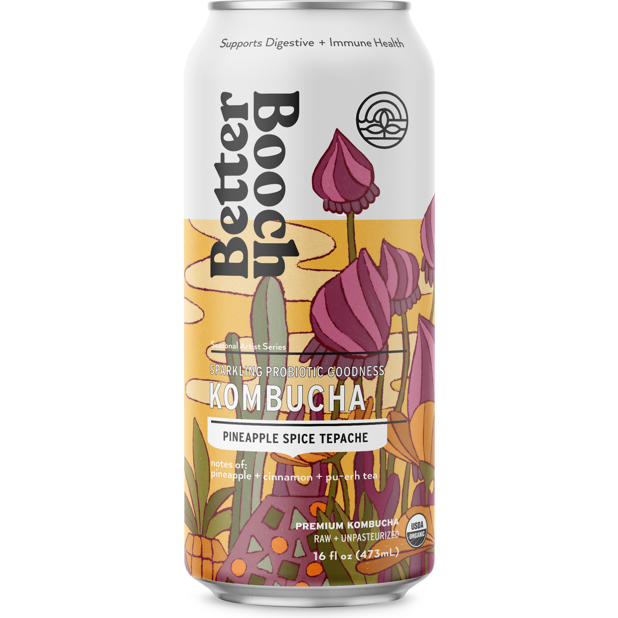 Pineapple Spice Tepache (16oz Can - 12 Pack)