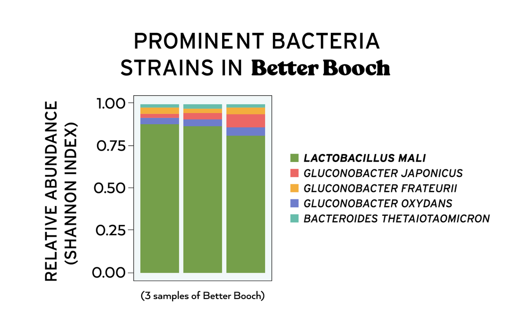 Prominent strains of bacteria in Better Booch