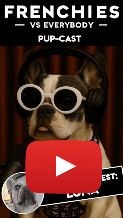 Talking Frenchie Podcast