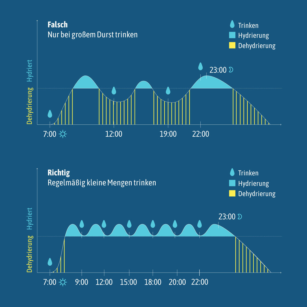 Dehydrierungsphase nach Trinkhäufigkeit