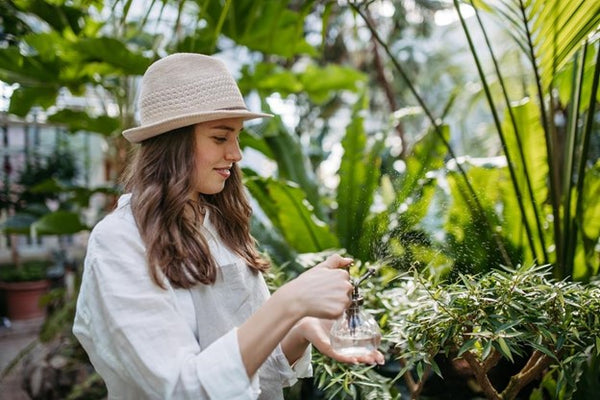Woman taking care of plants in a greenhouse
