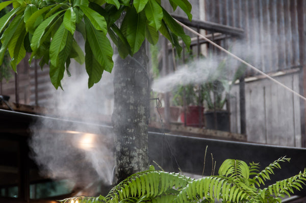 Outdoor misting system spraying plants