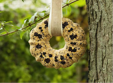 peanut butter bridseed wreath