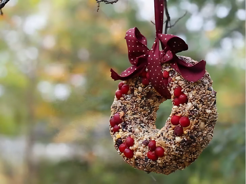 birdseed wreaths