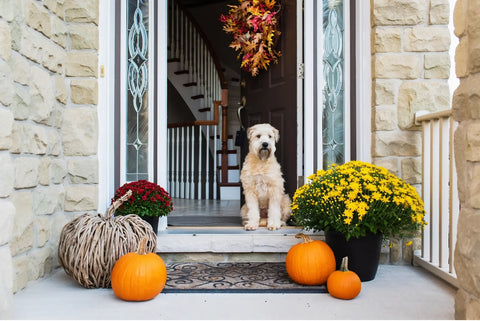 when to decorate for fall