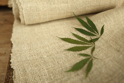 hemp vs jute