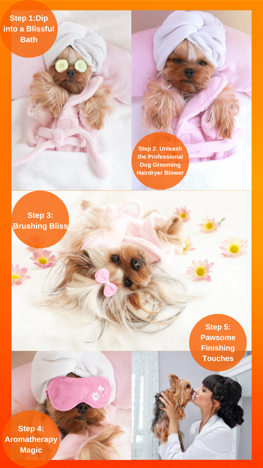 Unleash the Fun: A Step-by-Step Guide to Pampering Your Pawesome Pal