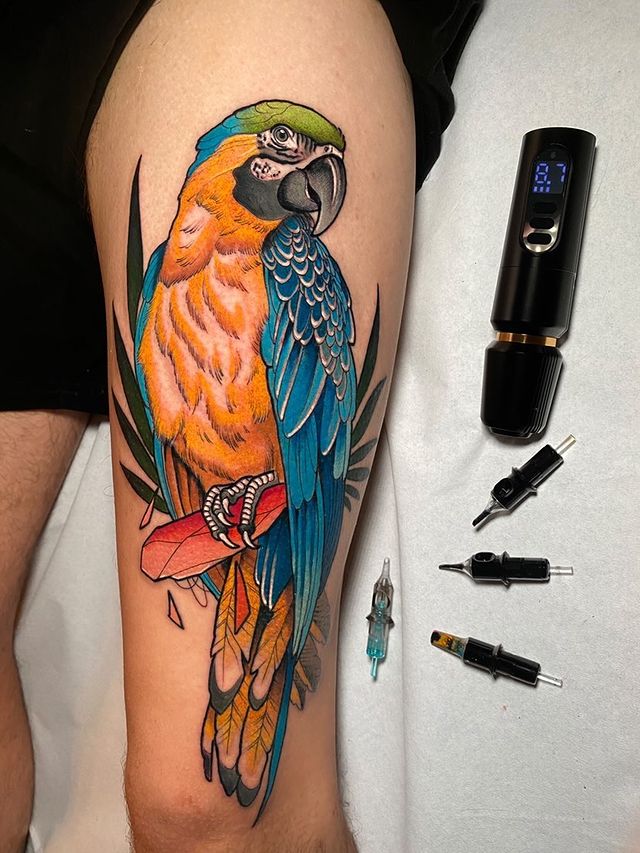 Blue and gold macaw | Parrot tattoo, Tattoos, Sleeve tattoos
