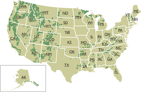 car camping in national forests