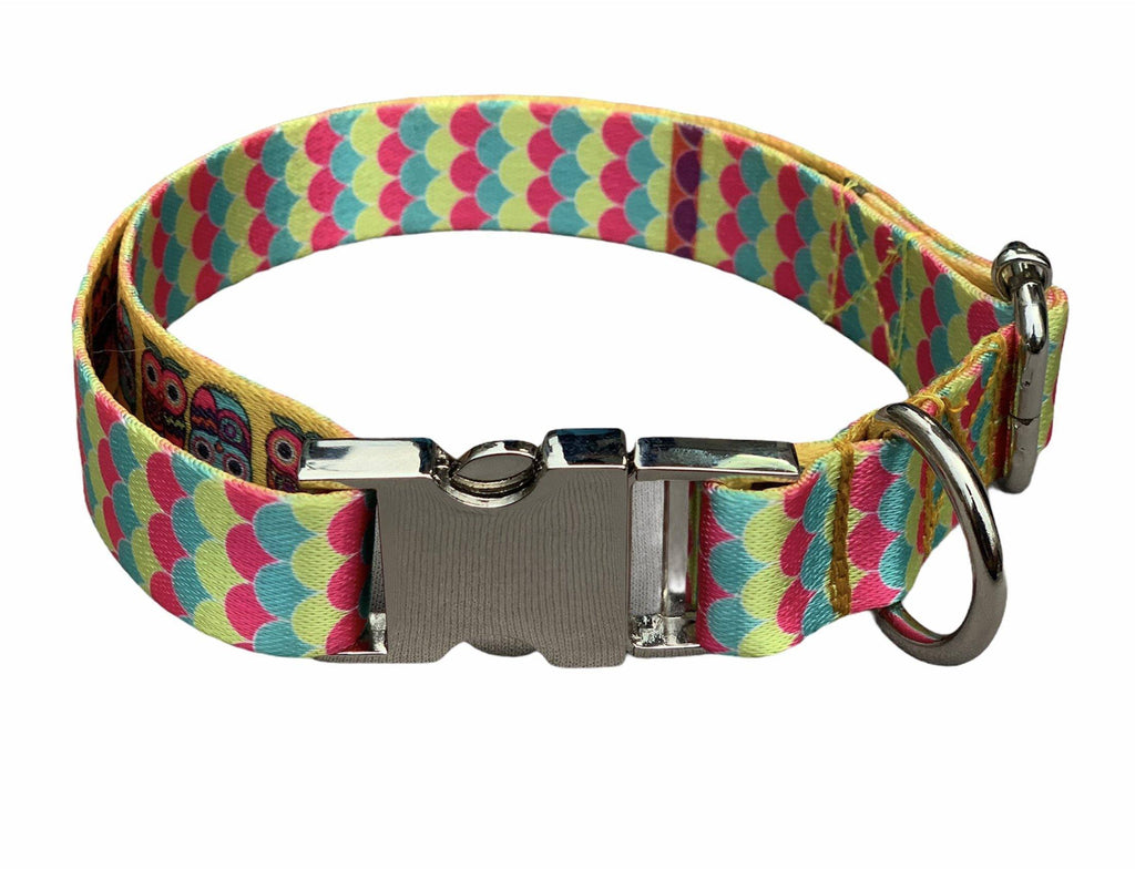 Dog Leash Set - Patterned Dog Collar Set, Matching Dog Collar and Lead,  Made in The USA - 3/4 Inch Wide Adjusts to 8.5-12.5 Inches, Small, Rainbow