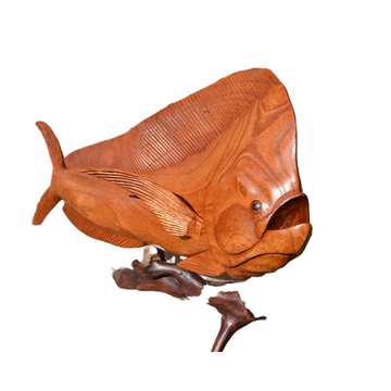 Wooden Tuna Fish Sculpture 60CM