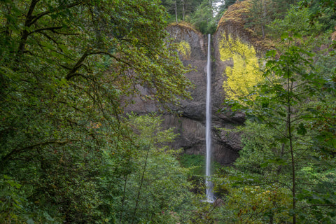 Latourell Falls in the Columbia Rive Gorge